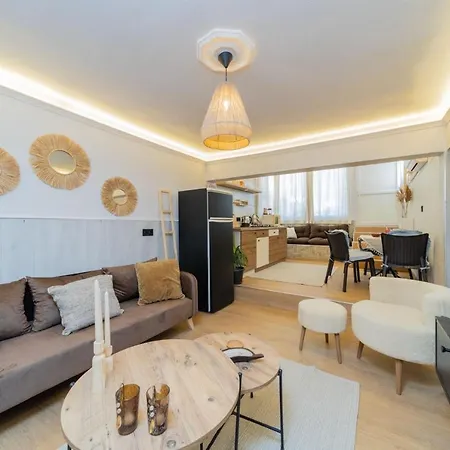 Stylish Close To The In Apartment